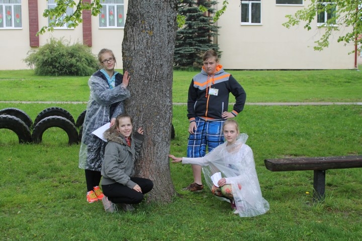 MĒRĀM KOKUS! Koku augstumu ar dažādiem paņēmieniem mēģināja noteikt Anete Dūniņa (no kreisās) no Aizkraukles pilsētas sākumskolas, Arita Sendija Stesela no Jaunjelgavas, Seces pamatskolas audzēknis Jānis Kristiāns Kuzņecovs un sunākstiete Una Garsila. 
Autors: Ance Liepa