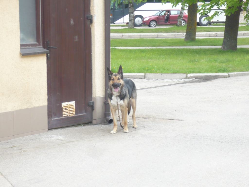 Aluksniesiem.lv raksta attēla aizvietotājs