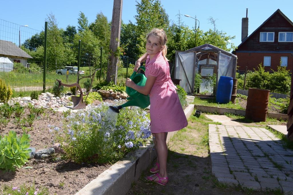 DARĀMĀ PIETIEK VISIEM. Mareka Jefimova ģimenes māja un apkārtne divu gadu laikā pārvērsta līdz nepazīšanai. Attēlā  — viena no ģimenes atvasēm Danute.                                                    
Autors: Līga Patmalniece