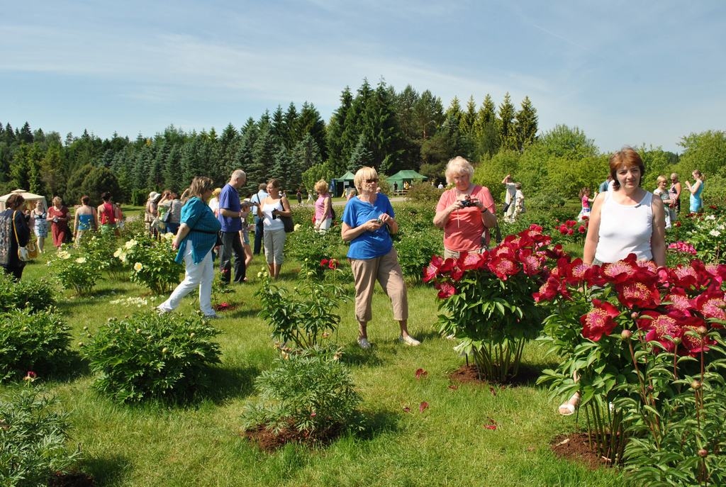 ZIED UN SMARŽO. Peoniju dārza apmeklētāji sajūsmināti aplūkoja katru šķirni. 