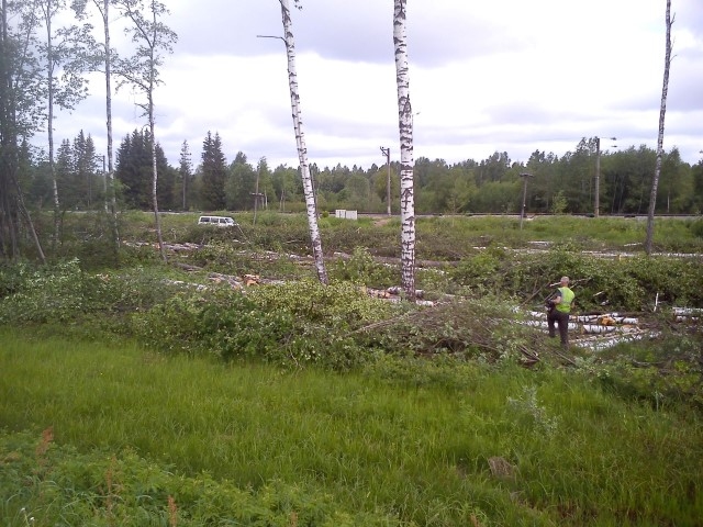 Kailcirte pie šosejas.	
Autors: aculiecinieces foto