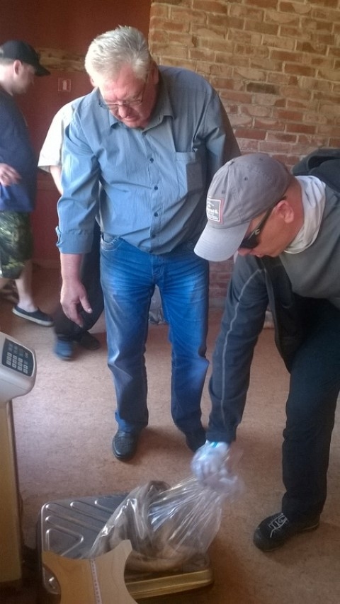 Sacensību galvenais tiesnesis Andris Veikšāns vēro, lai zivju svaru nolasītu pareizi.