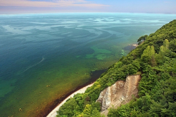 Autors: www.saimnieks.lv