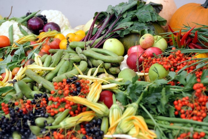 Autors: Litas Krones foto (LETA)