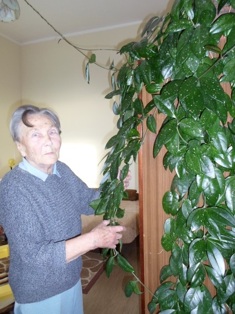 AUSTRA FINKA: “Vajag priecāties par to, kas ir!”
Autors: Ināra Sudare