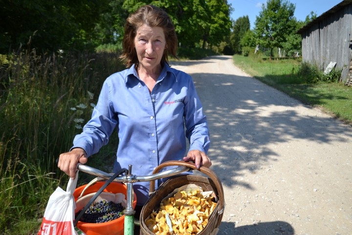 Neatkarīgi no laika prognozes. Zalviete Ināra Anševica ogot un sēņot dodas katru dienu.
Autors: Imants Kaziļuns