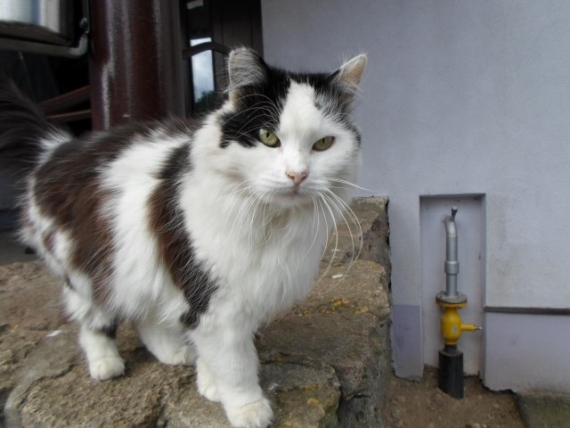 PEKA atpūtas brīdī.