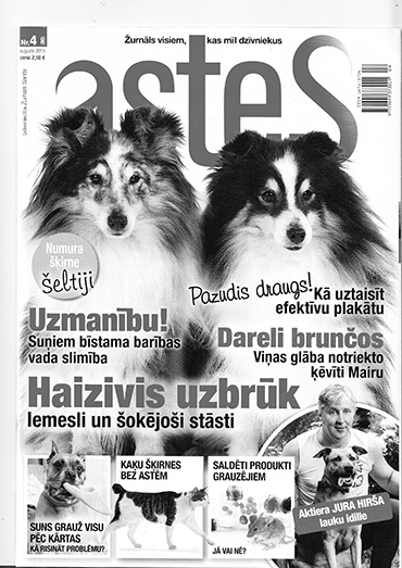 Aluksniesiem.lv raksta attēla aizvietotājs