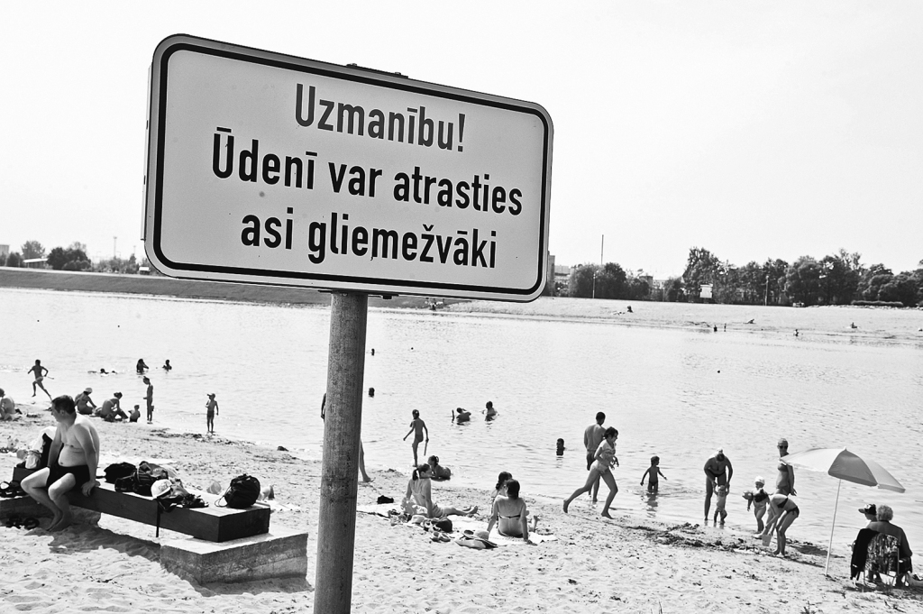 Autors: Raitis Puriņš