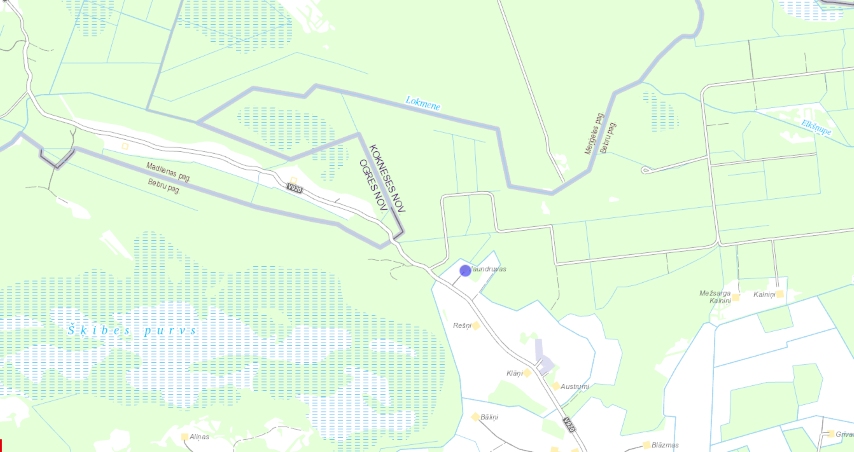 Lāču iecienīta vieta. Šķibes purva apkārtne, kur nofilmēts lielais meža dzīvnieks.