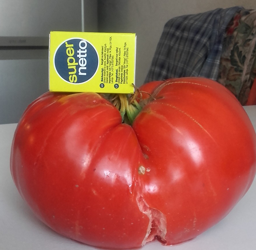 Pietiek visiem. Ar vienu tomātu pietika, lai pagatavotu salātus gan pašiem, gan ciemiņiem. 

Autors: no ģimenes albuma