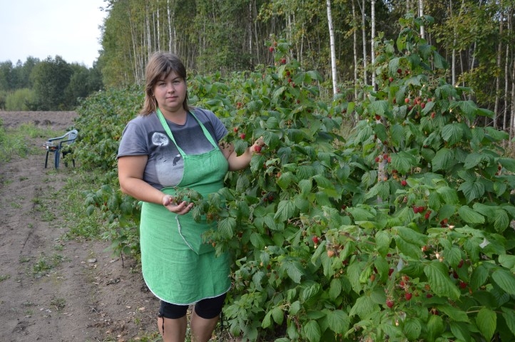 SKAISTA RAŽA. Linda atzīst, ka tādā rudenī kā šogad strādāt dārzā īpaši patīkami.
