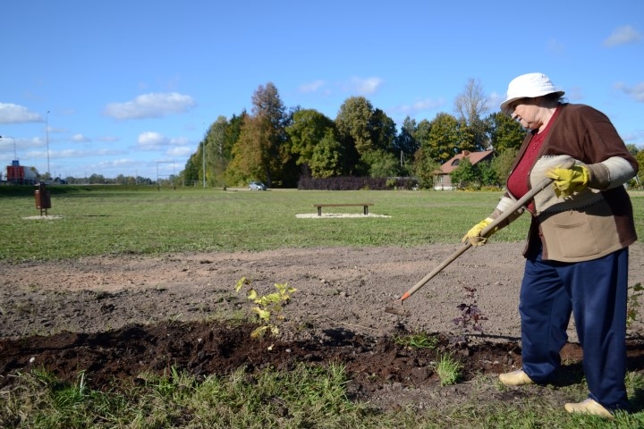 Koknesē par vienu sakoptu vietu vairāk. Suņu pastaigu laukums ir līdzās Monikas Strodes mazdārziņam.
Autors: Imants Kaziļuns