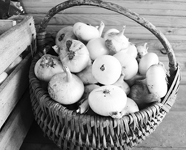 Autors: Līga Patmalniece