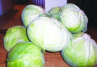 Autors: Ināra Sudare