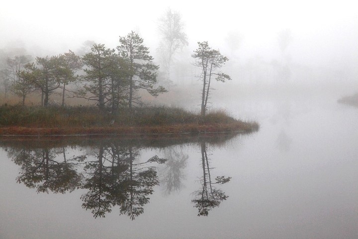 Autors: Žanna Žaka