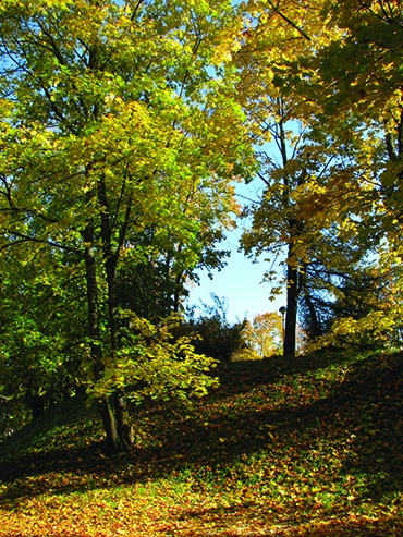 Autors: Solveiga Ivanova