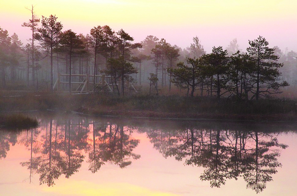 Autors: Žanna Žaka
