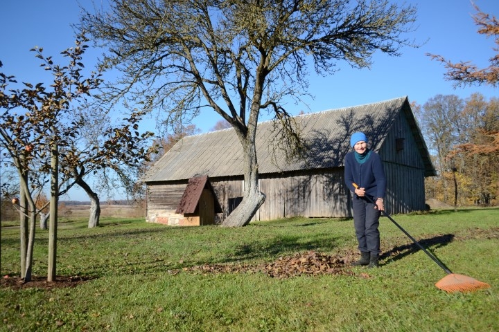 Pagasta čaklais rūķis. Terēze Salgrāve pāris dienās no sausajām lapām atbrīvojusi visu muzeja teritoriju. Fonā — šogad remontētā klēts.
Autors: Imants Kaziļuns