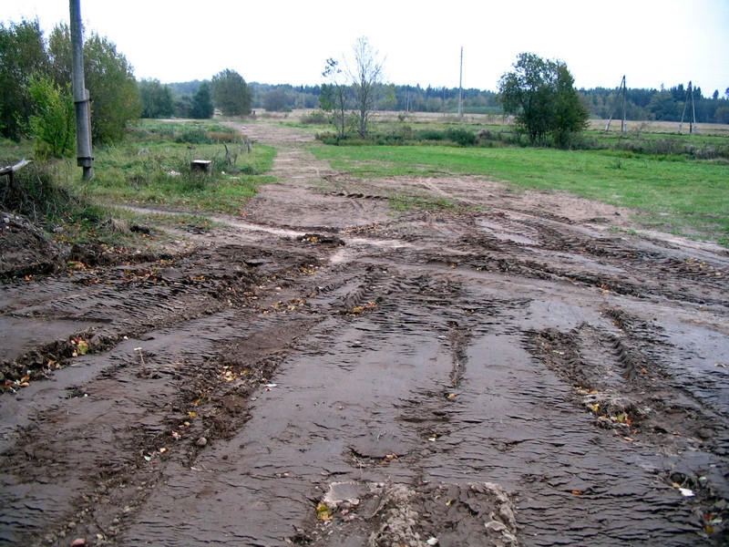 Attēlam ilustratīva nozīme.