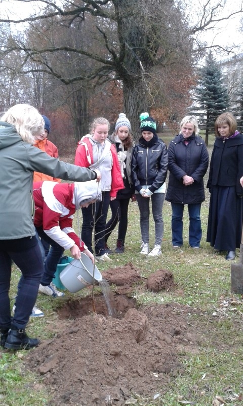 Lai aug par godu Latvijai! Ozolu stādīšanas talka Neretā.


Autors: no Lidijas Ozoliņas albuma