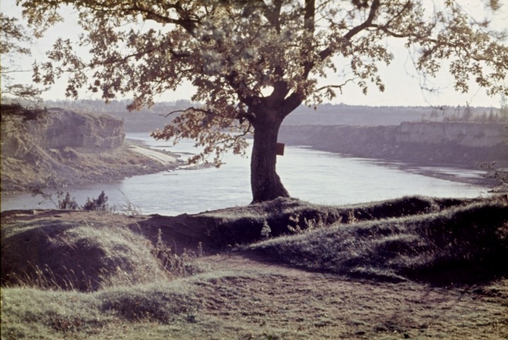 Pirmā pasaules kara ierakumi Pļaviņās (pie Oliņkalna) vēl bija labi redzami 1965. gadā. Tie stiepās gar visu Daugavmalu.
Autors: Jānis Geistarts