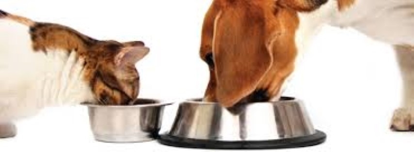 Autors: www.zoocentrs.lv