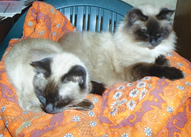 Autors: Ināra Sudare