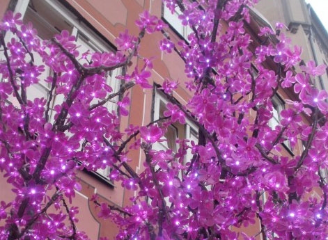 Autors: Ināra Dreijera foto