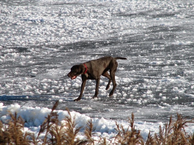 Autors: Solveiga Ivanova