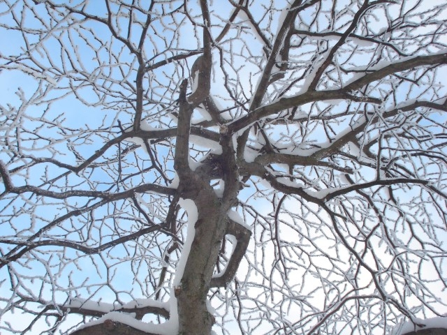 Autors: Silvijas Karpovičas foto