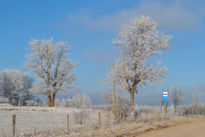 Autors: Līgas Patmalnieces foto
