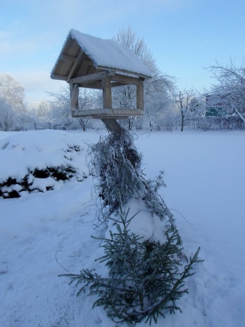 Autors: Ināra Sudare