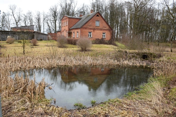 Izgrābs dūņas un padziļinās. Šovasar paredzēts sakopt Kurmenes muižas dīķus.

Autors: Imants Kaziļuns