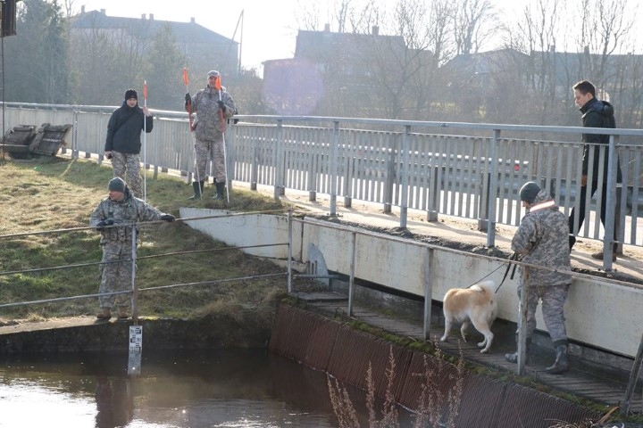 MEKLĒŠANU TURPINĀS. Brīvprātīgo meklētāju komanda nogāja  vairāk kā 11 kilometru, pārmeklējot vietas, kur varētu būt gājis Jevgēnijs Kamišovs. Viņiem palīdzēja arī suns, kurš apmācīts cilvēku meklēšanā.  

Autors: no www.bezvests.lv
