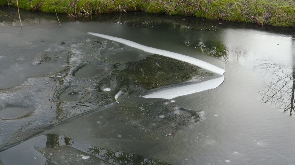 Autors: bezvests.lv