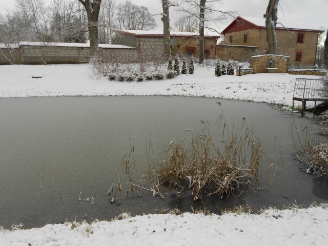 Autors: Ināra Sudare