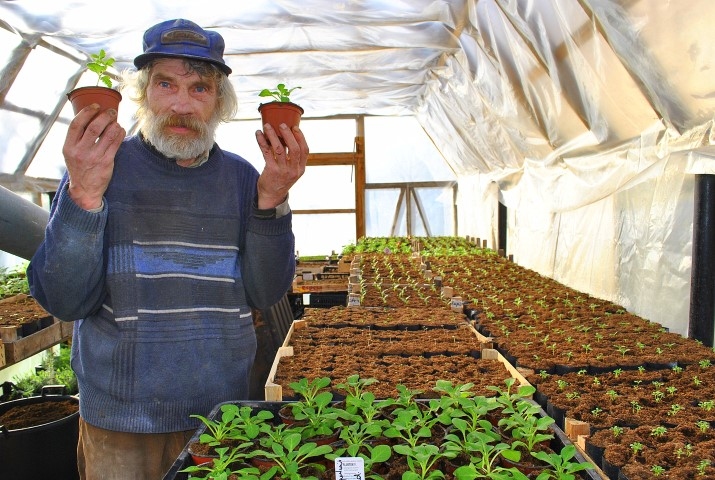 Tautas daiļamata meistars, koktēlnieks un tagad arī dārznieks. Darbs siltumnīcā — Pētera Grauduļa un viņa sievas Intas vaļasprieks.
Autors: Imants Kaziļuns