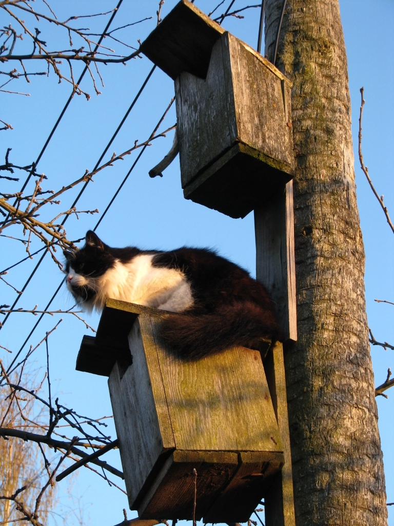 Autors: Solveiga Ivanova