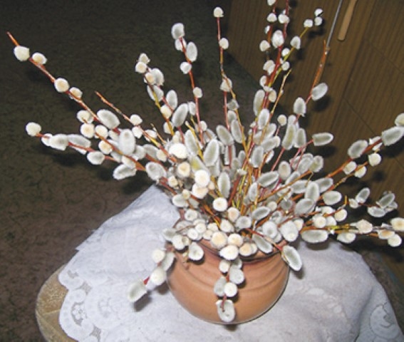 Autors: Ināra Sudare