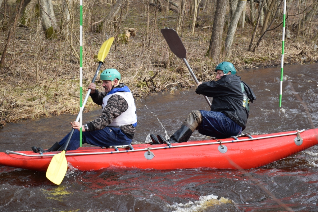Autors: Agita Grīnvalde-Iruka