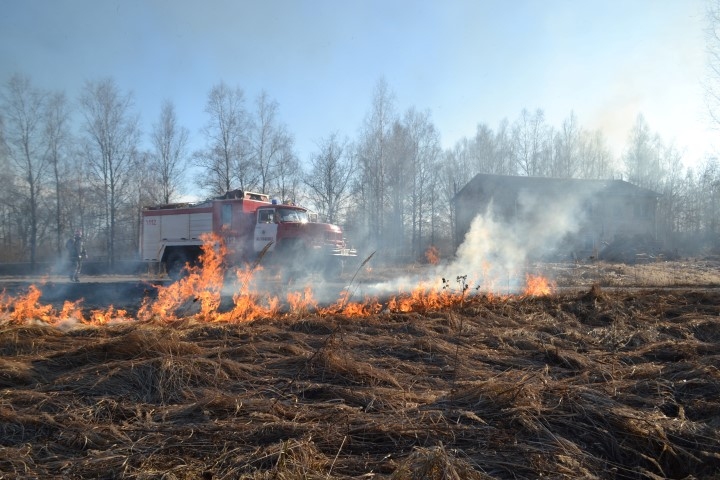 NEKAS NEMAINĀS. Dārza ielā Aizkrauklē pērnā zāle deg katru gadu. Arī šogad nekas nemainījās.                                     
Autors: no “Staburaga” arhīva