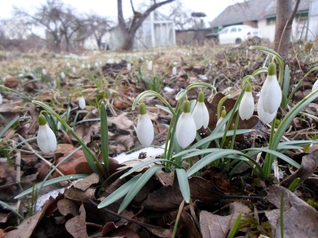 Autors: Ināra Sudare