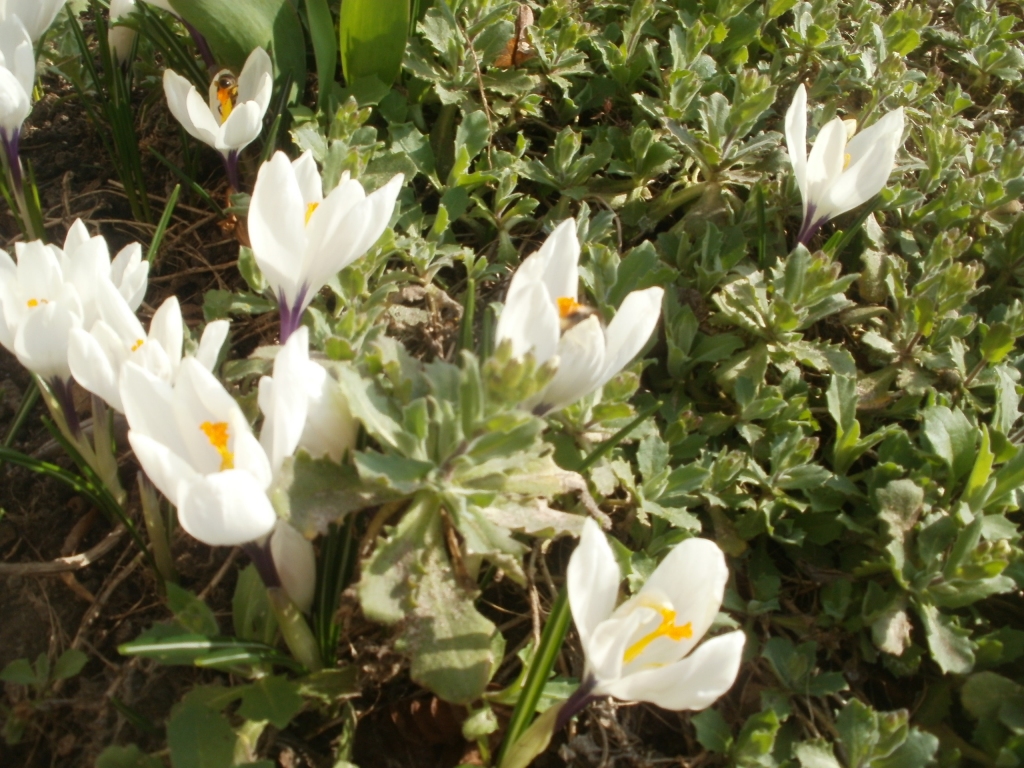 Autors: Inārs Dreijers