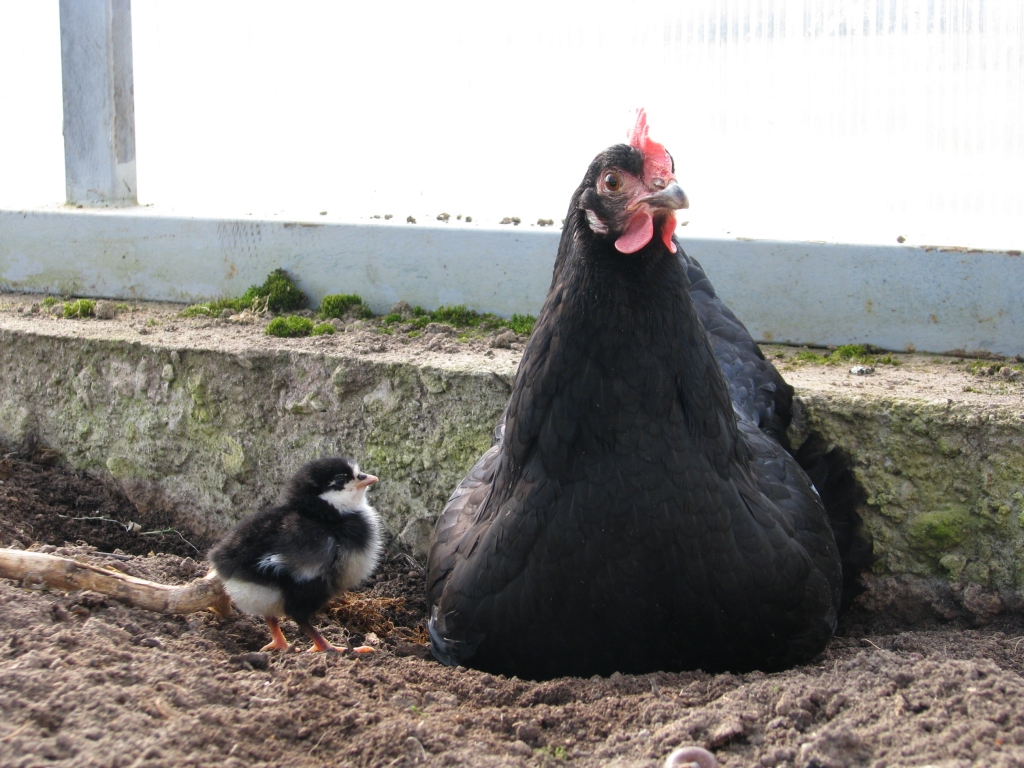 Autors: Solveiga Ivanova