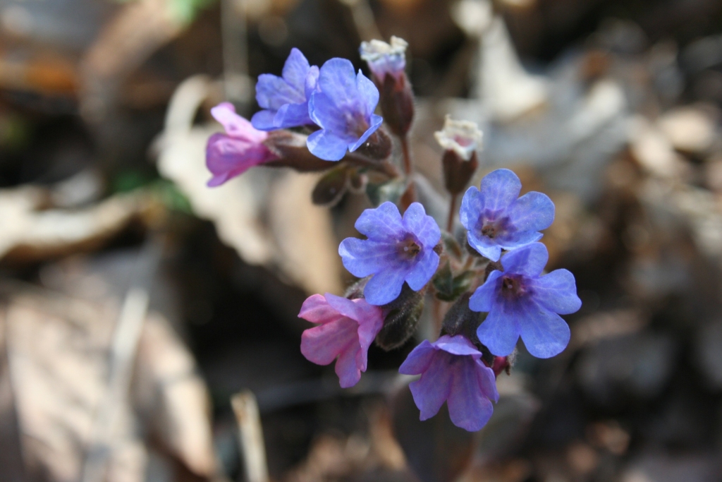 Autors: Līga Patmalniece