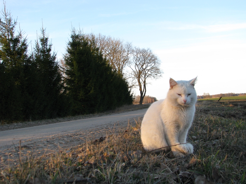 Autors: Solveiga Ivanova