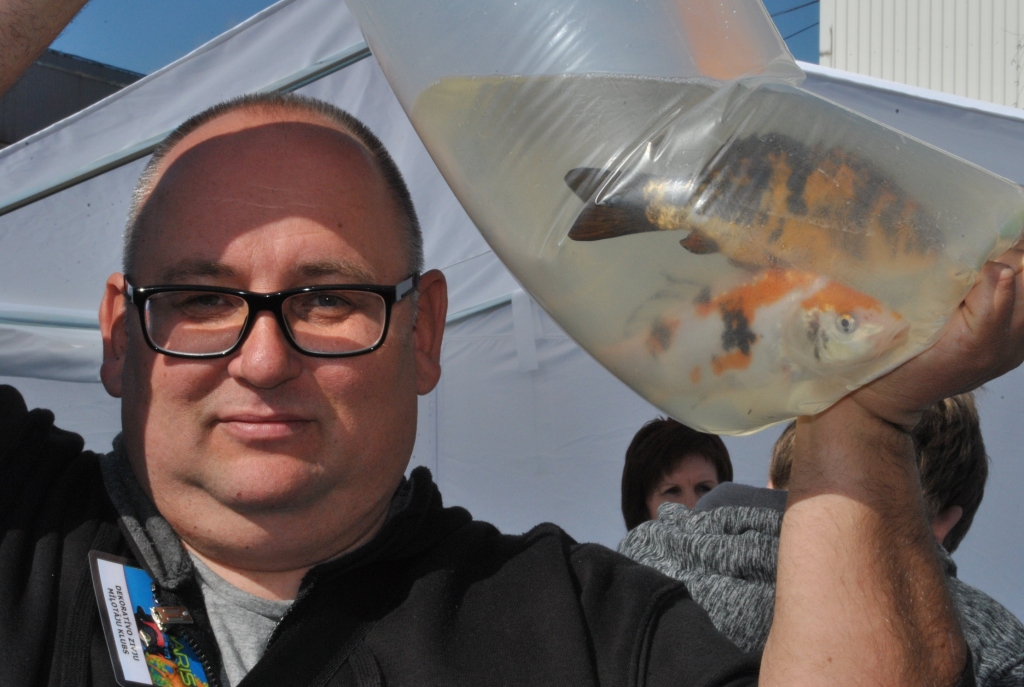 Tulks ar savdabīgu aizraušanos. Lietuvietis Sergejs Ivanovs brīvajā laikā audzē dekoratīvās zivis dīķiem.
Autors: Imants Kaziļuns