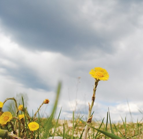 Autors: Līga Patmalniece