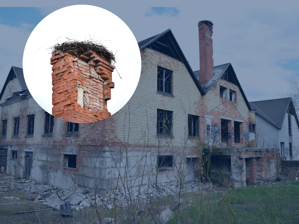 Stārķis Aizkrauklē.  Lāčplēša ielā 14a, kas vairumam cilvēku zināms kā grausts aiz lielveikala “Beta”, svētelis  uzvijis ligzdu.

Autors:  Imants Kaziļuns